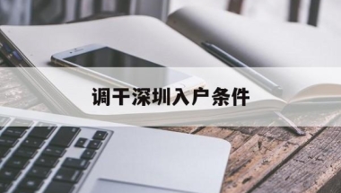 调干深圳入户条件(深圳入户调干是什么意思)