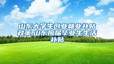 山东大学生创业就业补贴政策,山东应届毕业生生活补贴