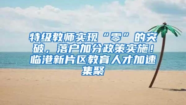 特级教师实现“零”的突破，落户加分政策实施！临港新片区教育人才加速集聚