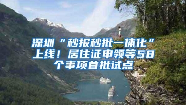深圳“秒报秒批一体化”上线！居住证申领等58个事项首批试点