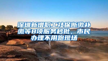 深圳新增职工社保断缴补缴等8项服务秒批，市民办理不用跑现场