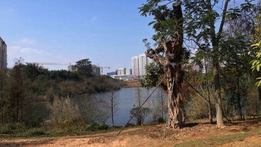 深圳2022核准制入户的细节值得注意
