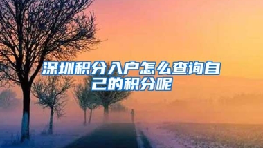 深圳积分入户怎么查询自己的积分呢