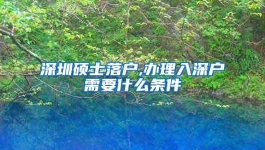 深圳硕士落户,办理入深户需要什么条件
