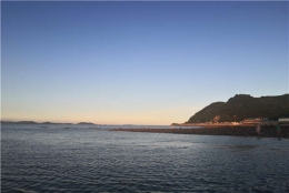 你不妨看看2021年深圳集体户口有学位吗的问题是如何被解决的！