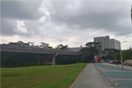 收藏！2021年深圳集体户口迁出的常见问题汇总！