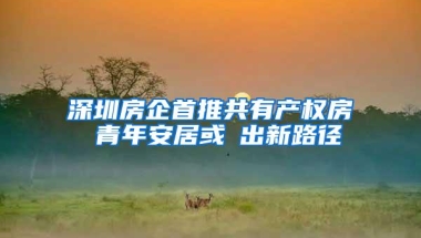 深圳房企首推共有产权房 青年安居或蹚出新路径