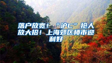 落户放宽！“沪C”抢人放大招！上海郊区楼市迎利好