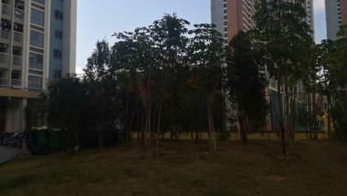 父母深圳集体户口小孩怎么落户你应该了解的指南攻略