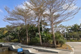 研究生毕业在深圳落户条件知识全揭秘！