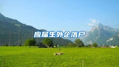 应届生外企落户