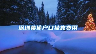 深圳集体户口挂靠费用