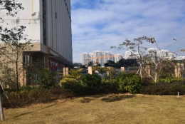 一篇文章带你弄懂留学生深圳积分入户办理条件