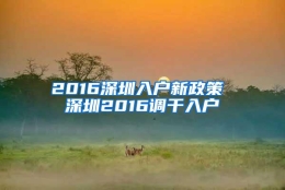 2016深圳入户新政策 深圳2016调干入户