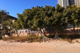 深圳积分入户调干应对思路，来看看~~