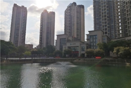 揭露：为什么2021年留学生回国深圳就业落户会这么简单！