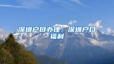 深圳户口办理：深圳户口福利