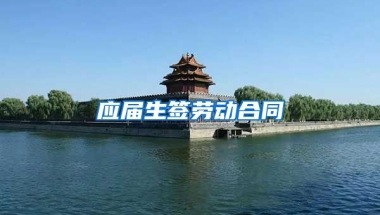 应届生签劳动合同