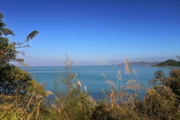 研究生迁深圳户口吗以你的伤害有多大？