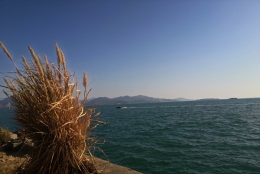 硕士深圳落户政策详细解读来了！