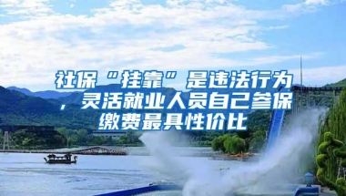 社保“挂靠”是违法行为，灵活就业人员自己参保缴费最具性价比
