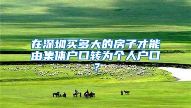 在深圳买多大的房子才能由集体户口转为个人户口？