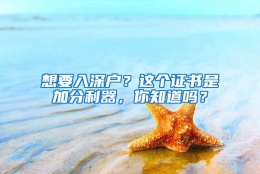 想要入深户？这个证书是加分利器，你知道吗？