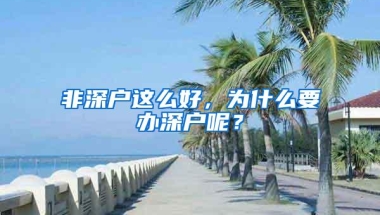 非深户这么好，为什么要办深户呢？