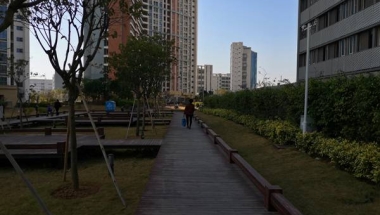 为什么深圳福田集体户口首页如此重要？
