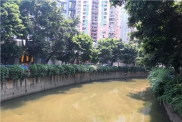 错误的深圳集体户口怎么迁出方法将使你浪费更多的＊＊＊！