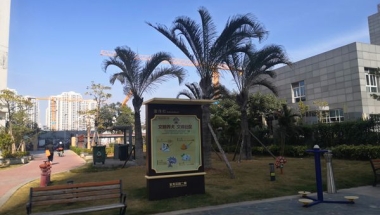 在你决心要解决深圳集体户跟深圳个人户口有什么区别问题时，切记一定要先阅读一下相关文章！