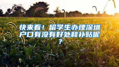 快来看！留学生办理深圳户口有没有好处和补贴呢？