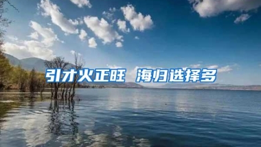 引才火正旺 海归选择多