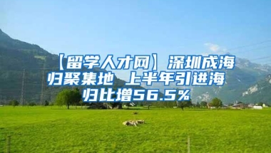 【留学人才网】深圳成海归聚集地 上半年引进海归比增56.5%