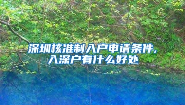 深圳核准制入户申请条件,入深户有什么好处