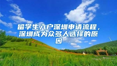 留学生入户深圳申请流程，深圳成为众多人选择的原因