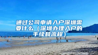 通过公司申请入户深圳需要什么（深圳办理入户的手续和流程）