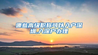 哪些高级职称可以入户深圳,入深户办理