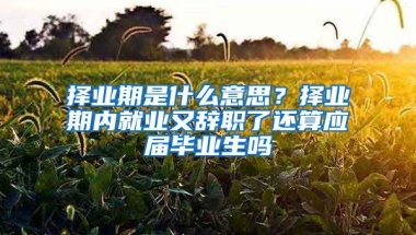 择业期是什么意思？择业期内就业又辞职了还算应届毕业生吗