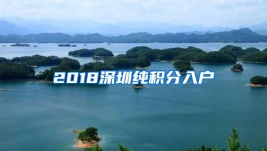 2018深圳纯积分入户