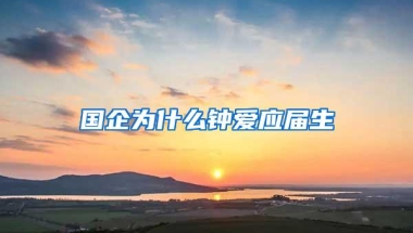 国企为什么钟爱应届生