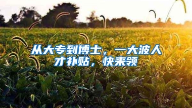 从大专到博士，一大波人才补贴，快来领