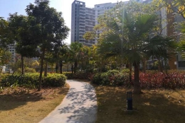 你关注的深圳留学生入户政策2022，真的很重要！