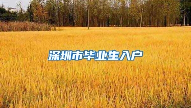 深圳市毕业生入户