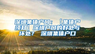 深圳集体户口：【集体户须知】深圳户口的好处与坏处？ 深圳集体户口