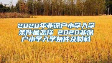 2020年非深户小学入学条件是怎样 2020非深户小学入学条件及材料