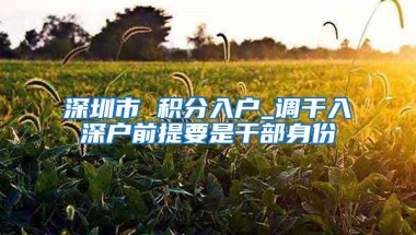 深圳市 积分入户_调干入深户前提要是干部身份