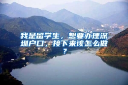 我是留学生，想要办理深圳户口，接下来该怎么做？