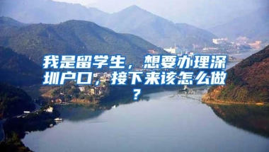 我是留学生，想要办理深圳户口，接下来该怎么做？