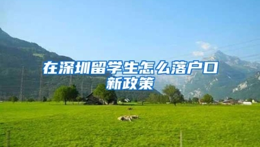 在深圳留学生怎么落户口新政策